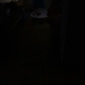 Meet your Posher, Devon